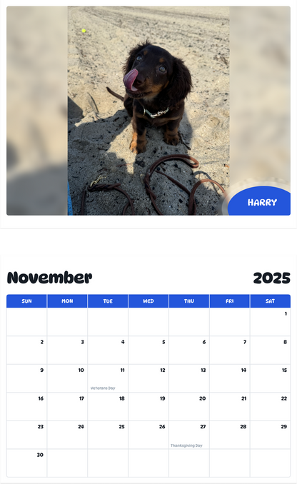 July 2025 - June 2026 Harry - Pawidols Pet Calendar