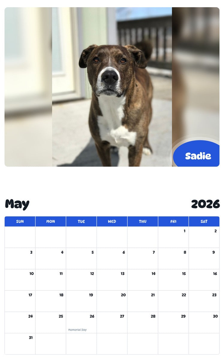2026 - 2027 Sadie - Pawidols Pet Calendar