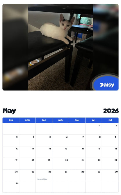 2026 - 2027 Daisy - Pawidols Pet Calendar