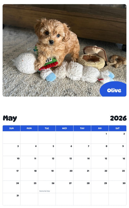 2026 - 2027 Olive - Pawidols Pet Calendar