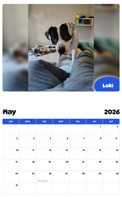 2026 - 2027 Loki - Pawidols Pet Calendar