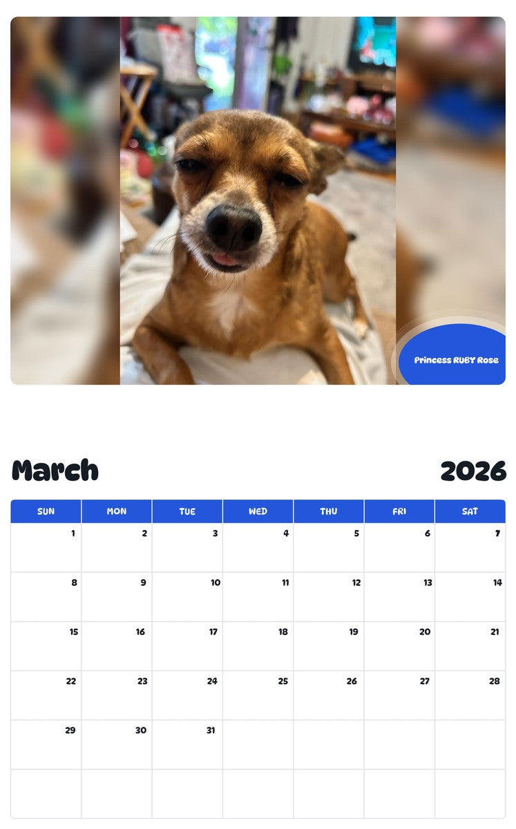November 2025 - October 2026 Princess RUBY Rose - Pawidols Pet Calendar