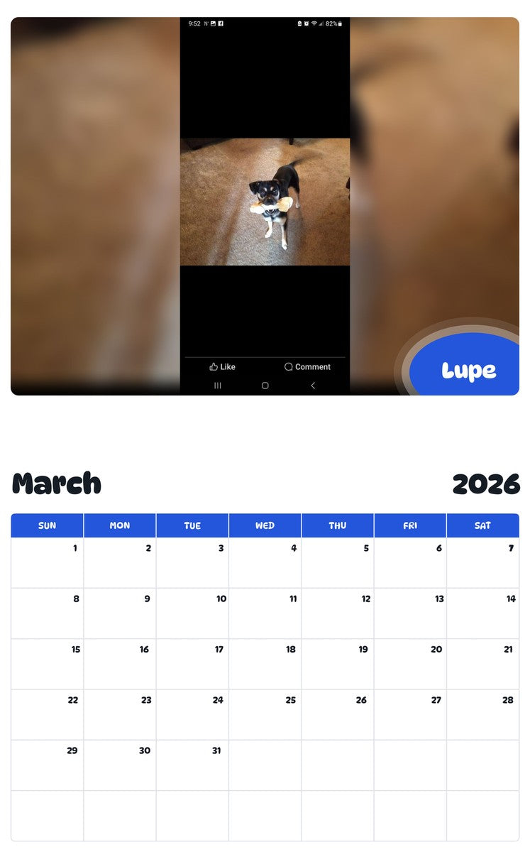 November 2025 - October 2026 Lupe - Pawidols Pet Calendar