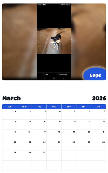 November 2025 - October 2026 Lupe - Pawidols Pet Calendar