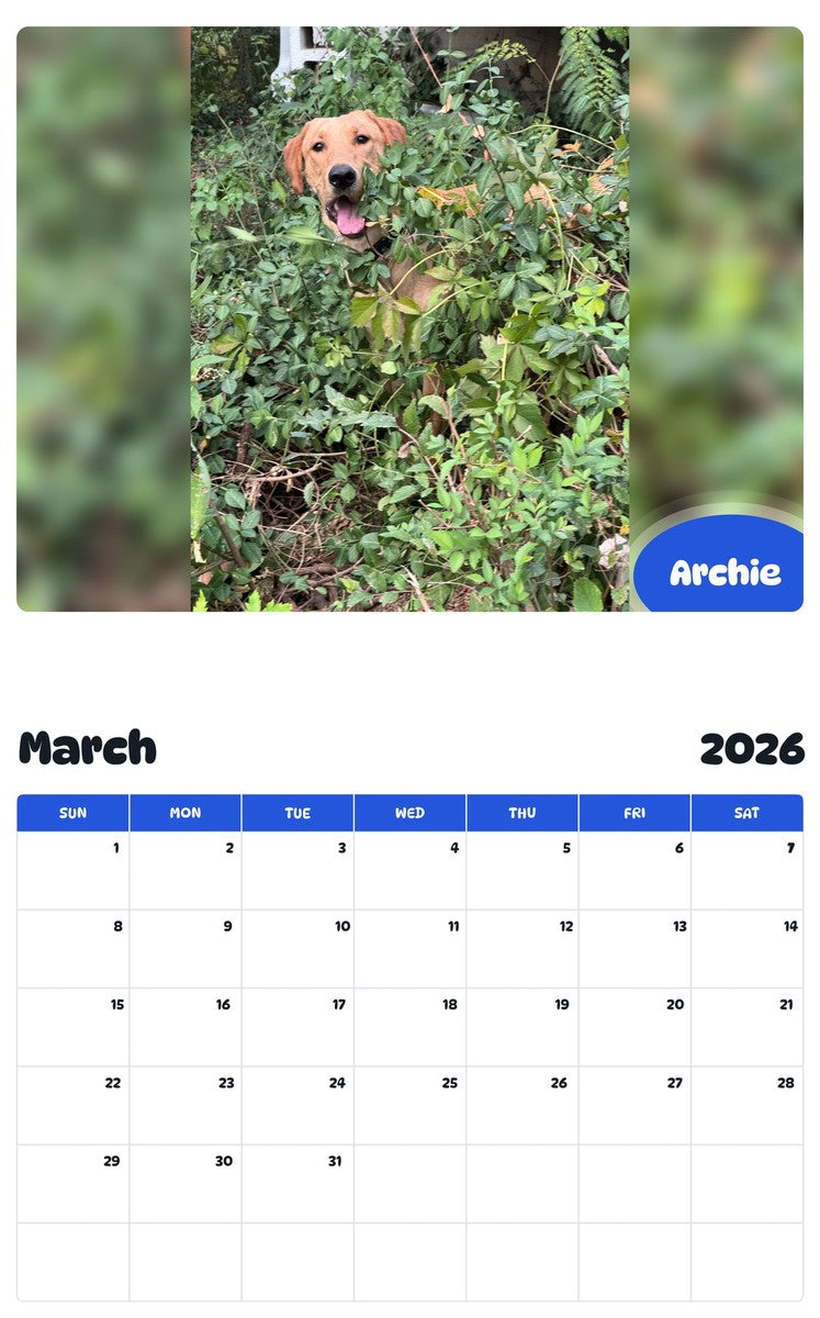November 2025 - October 2026 Archie - Pawidols Pet Calendar