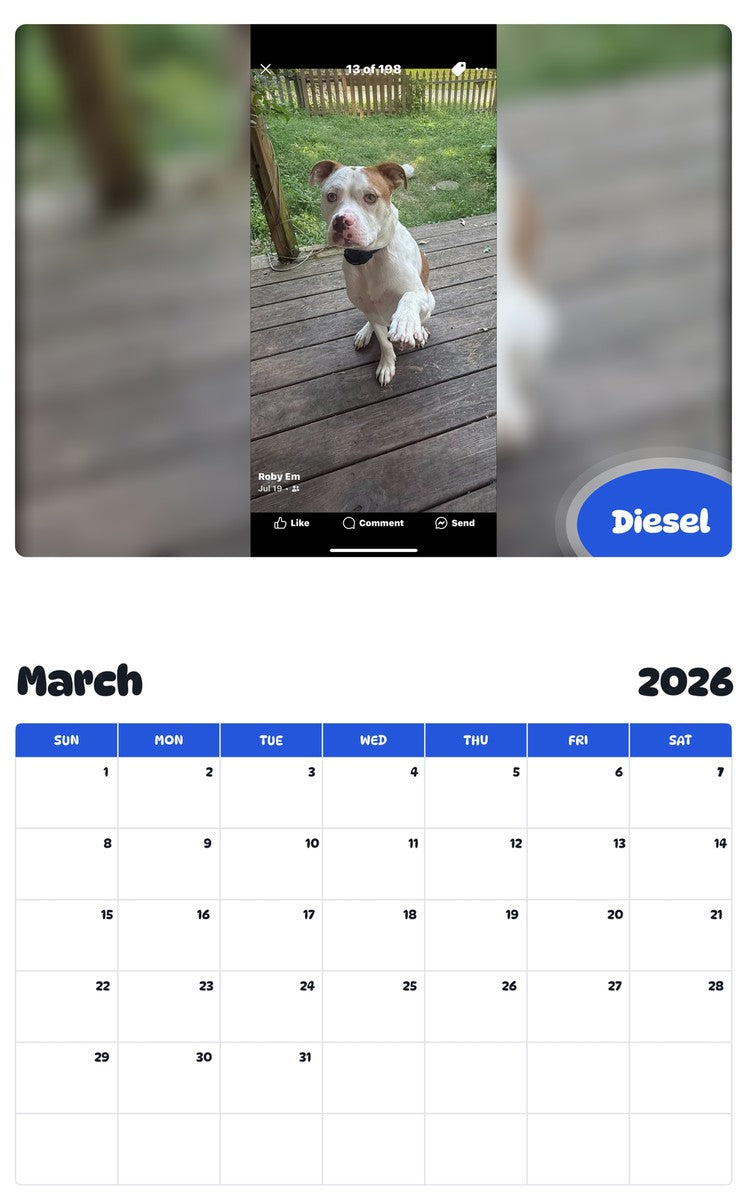 November 2025 - October 2026 Diesel - Pawidols Pet Calendar