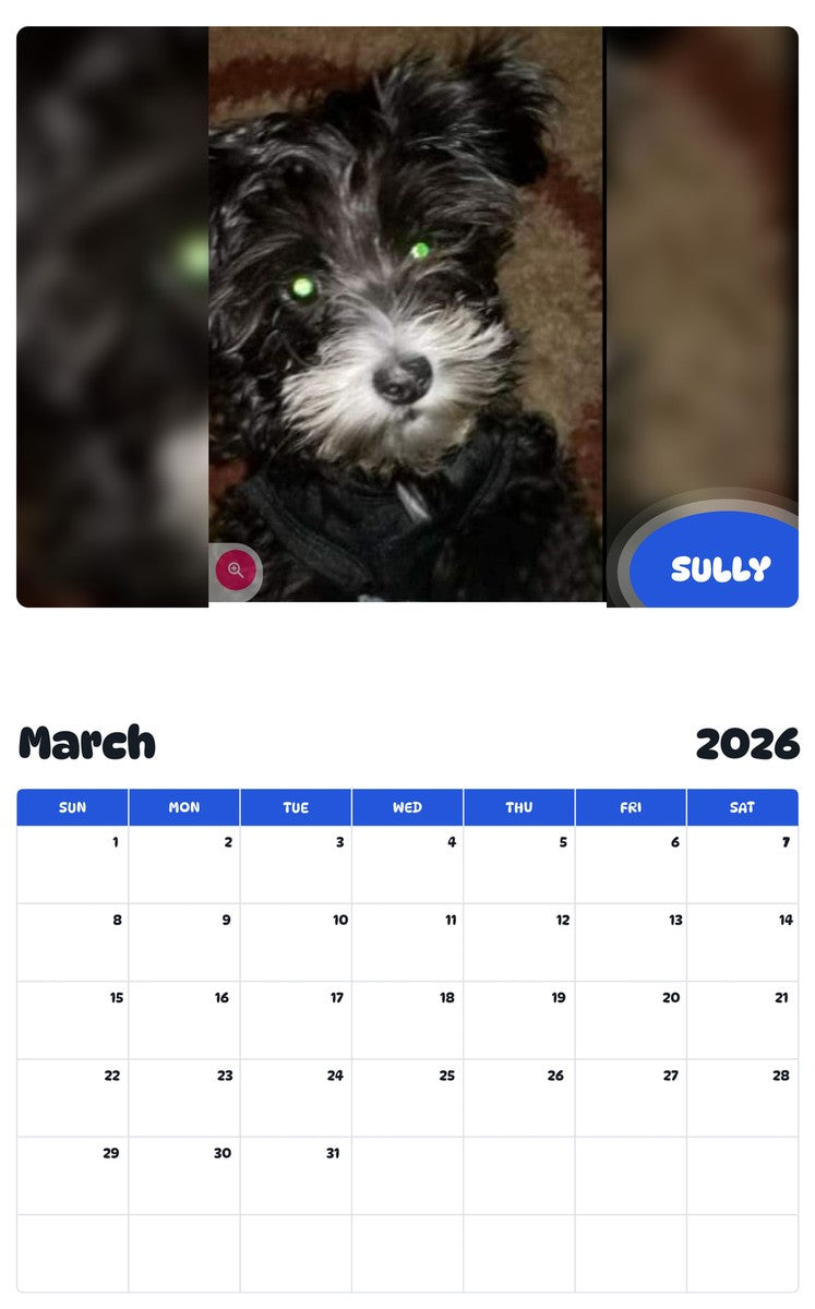 November 2025 - October 2026 SULLY - Pawidols Pet Calendar