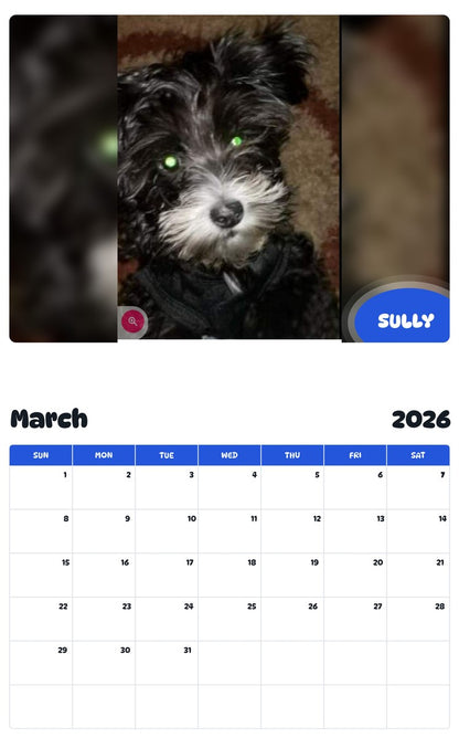 November 2025 - October 2026 SULLY - Pawidols Pet Calendar