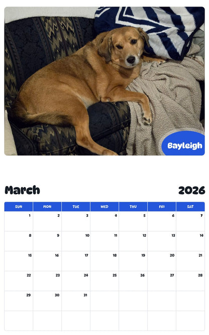 November 2025 - October 2026 Bayleigh - Pawidols Pet Calendar