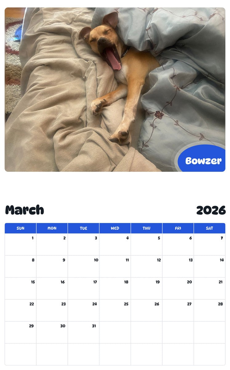 November 2025 - October 2026 Bowzer - Pawidols Pet Calendar