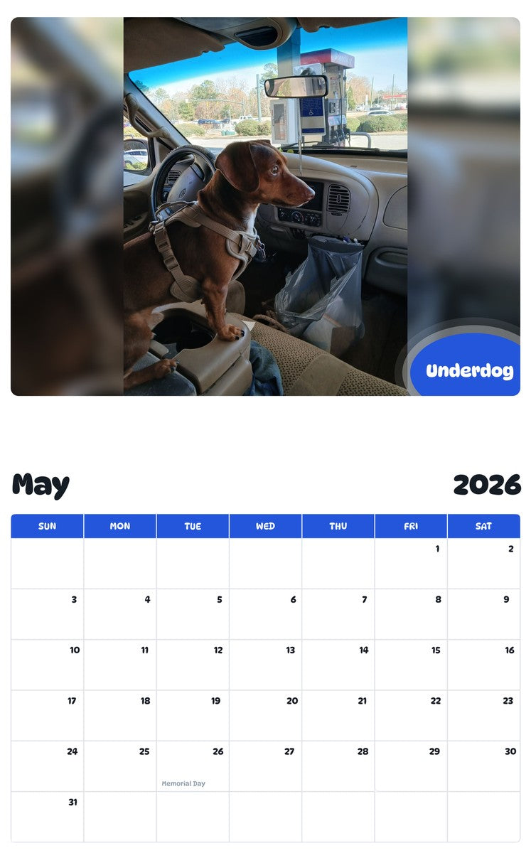 2026 - 2027 Underdog - Pawidols Pet Calendar