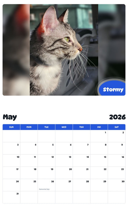 2026 - 2027 Stormy - Pawidols Pet Calendar