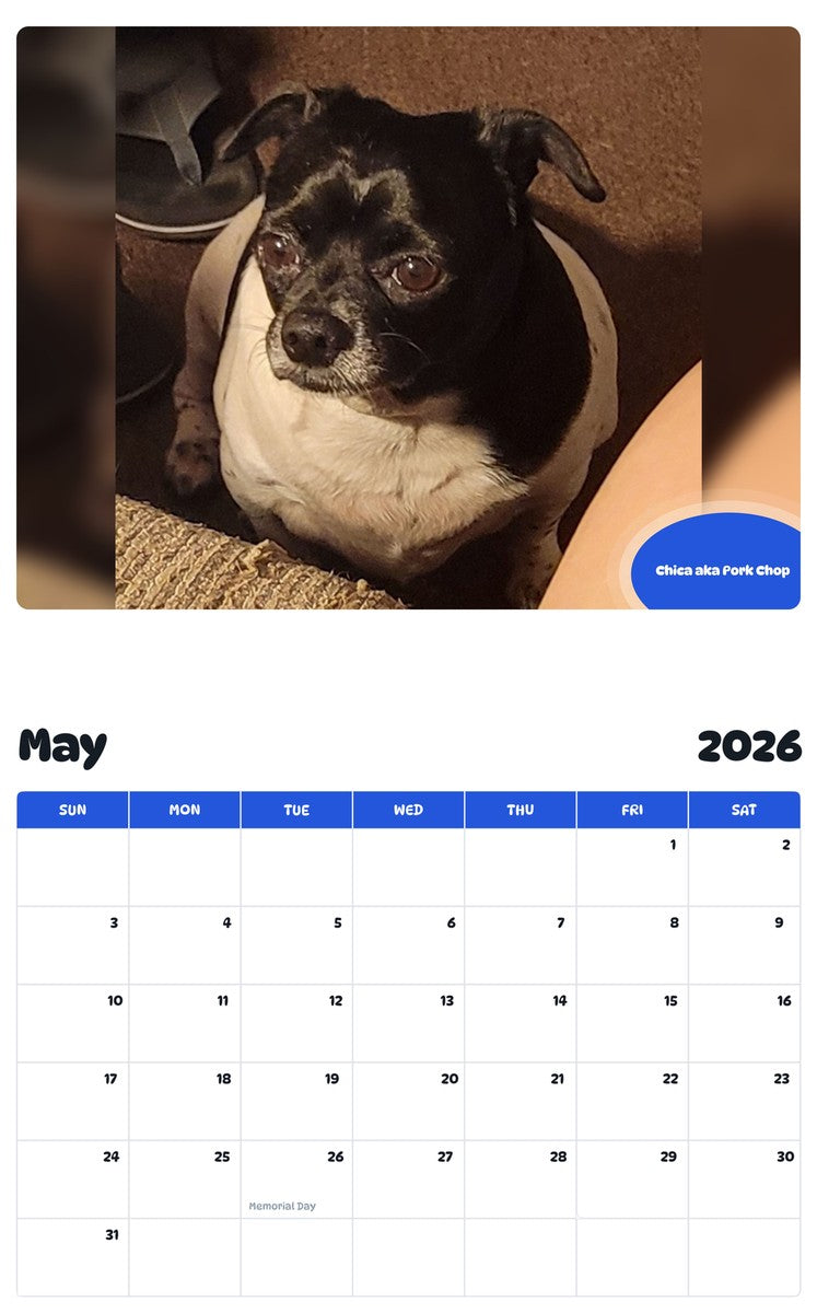2026 - 2027 Chica aka Pork Chop - Pawidols Pet Calendar