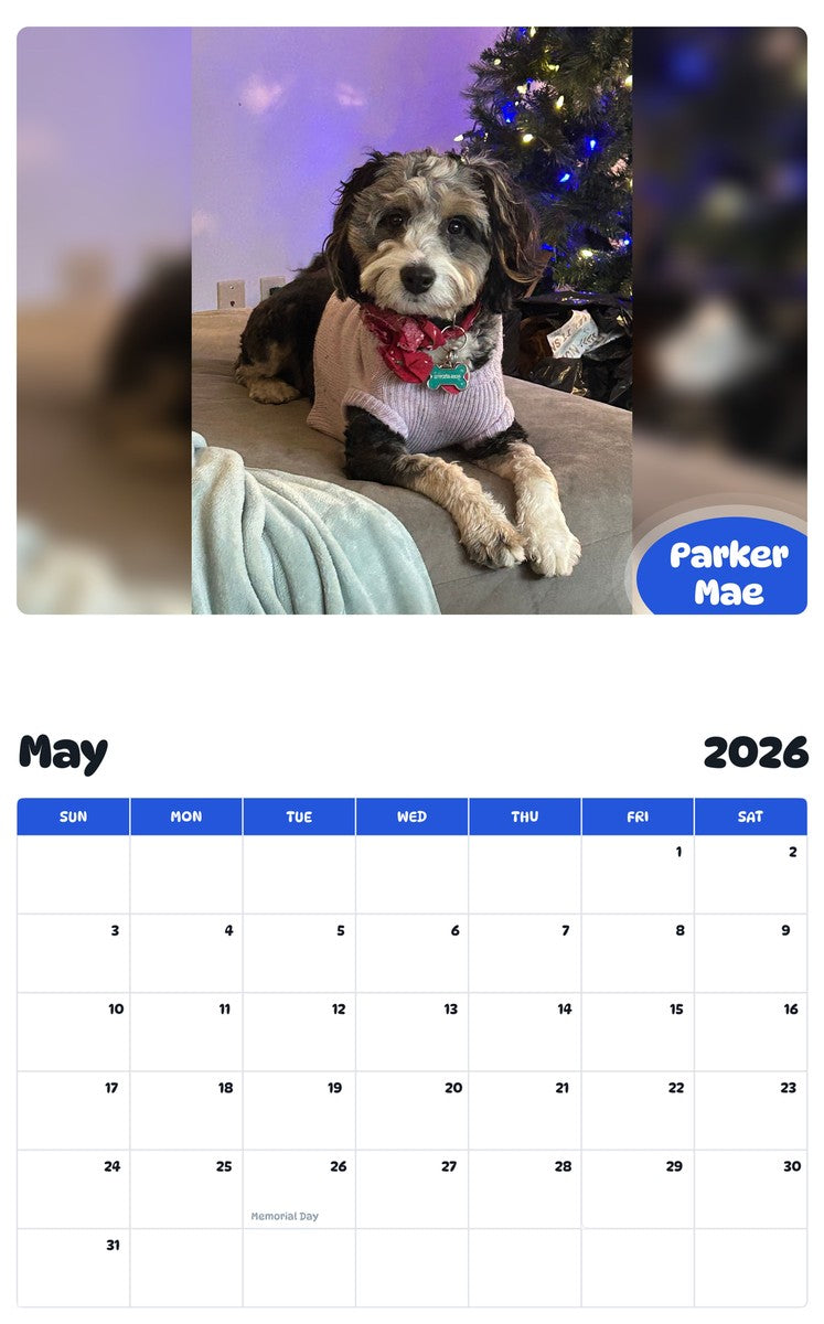 2026 - 2027 Parker Mae - Pawidols Pet Calendar