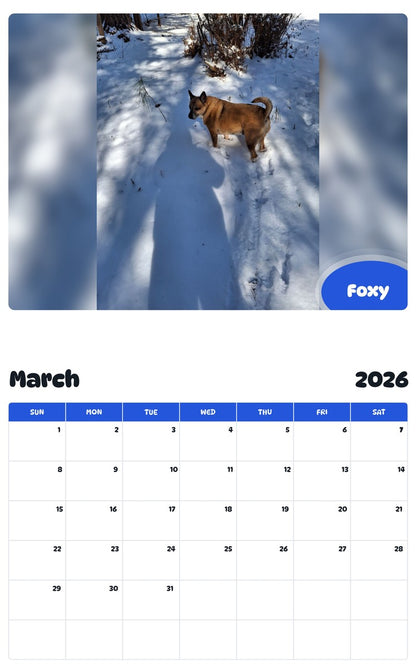 November 2025 - October 2026 Foxy - Pawidols Pet Calendar