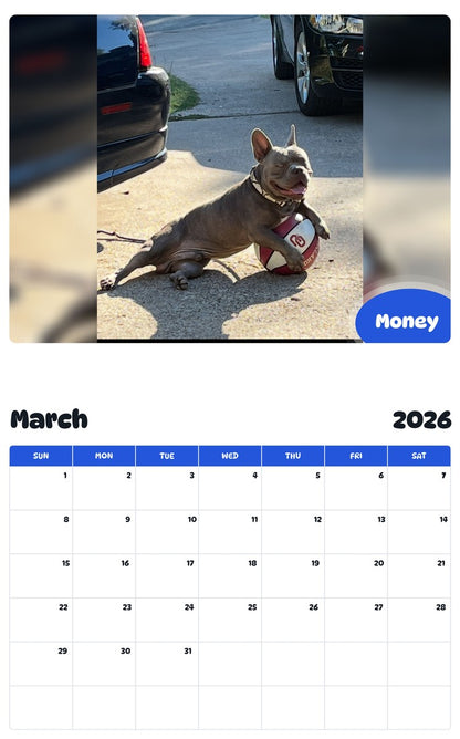 November 2025 - October 2026 Money - Pawidols Pet Calendar
