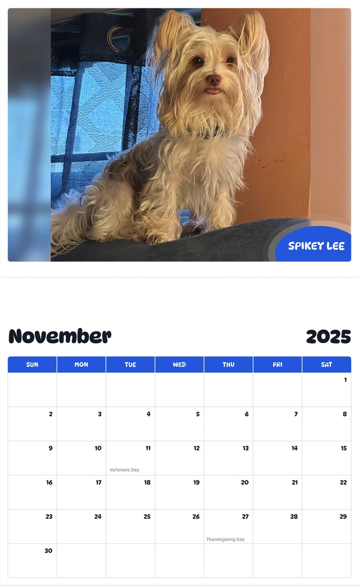 July 2025 - June 2026 Spikey lee - Pawidols Pet Calendar