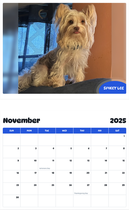 July 2025 - June 2026 Spikey lee - Pawidols Pet Calendar
