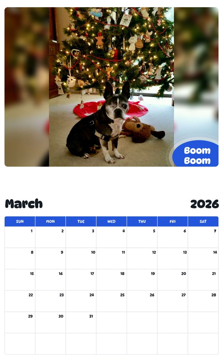 November 2025 - October 2026 Boom Boom - Pawidols Pet Calendar