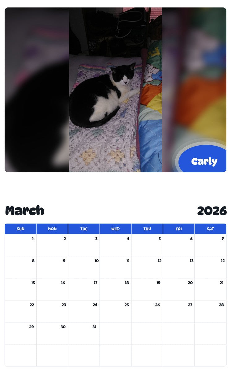 November 2025 - October 2026 Carly - Pawidols Pet Calendar