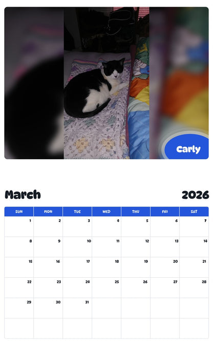 November 2025 - October 2026 Carly - Pawidols Pet Calendar
