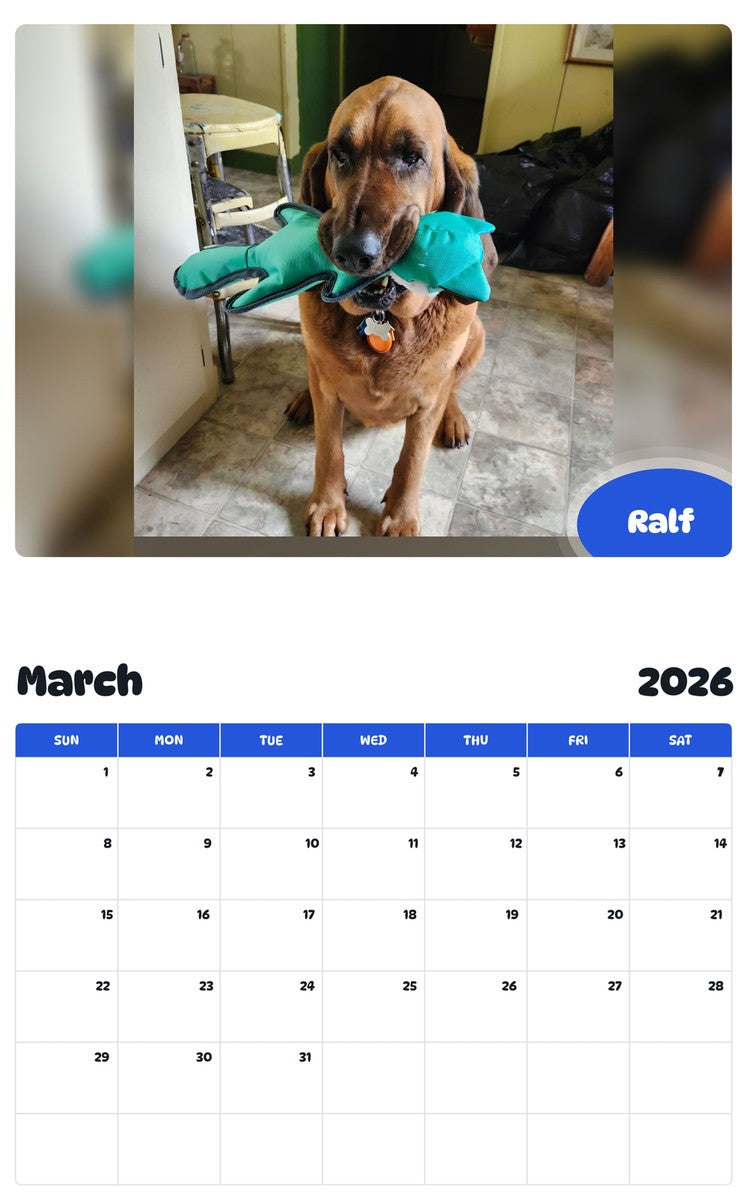 November 2025 - October 2026 Ralf - Pawidols Pet Calendar