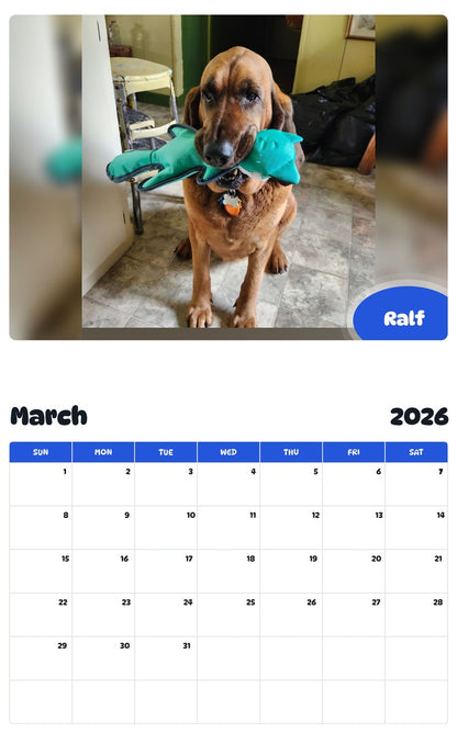 November 2025 - October 2026 Ralf - Pawidols Pet Calendar