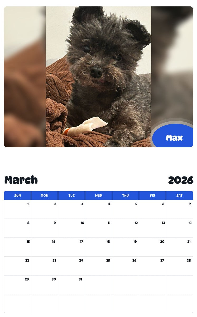 November 2025 - October 2026 Max - Pawidols Pet Calendar