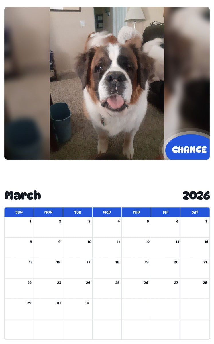 November 2025 - October 2026 CHANCE - Pawidols Pet Calendar