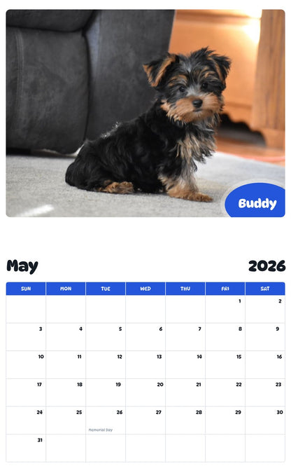 2026 - 2027 Buddy - Pawidols Pet Calendar