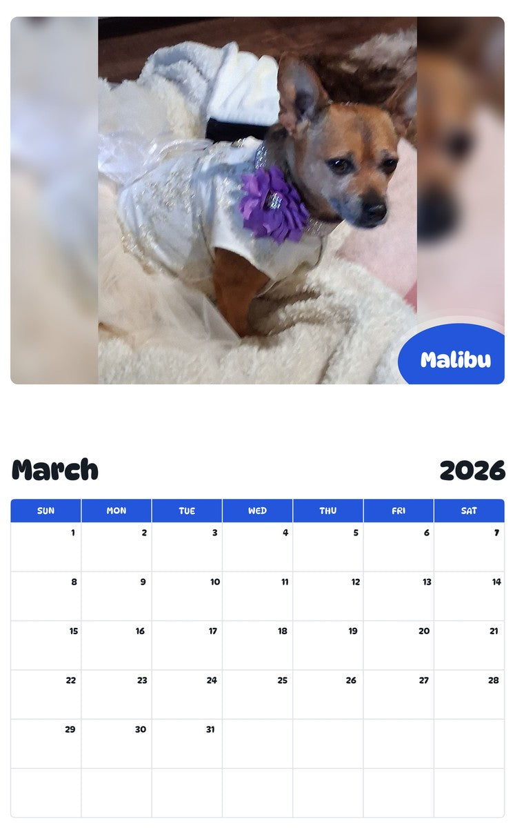 November 2025 - October 2026 Malibu - Pawidols Pet Calendar