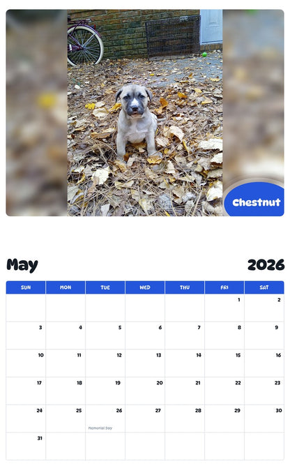 2026 - 2027 Chestnut - Pawidols Pet Calendar