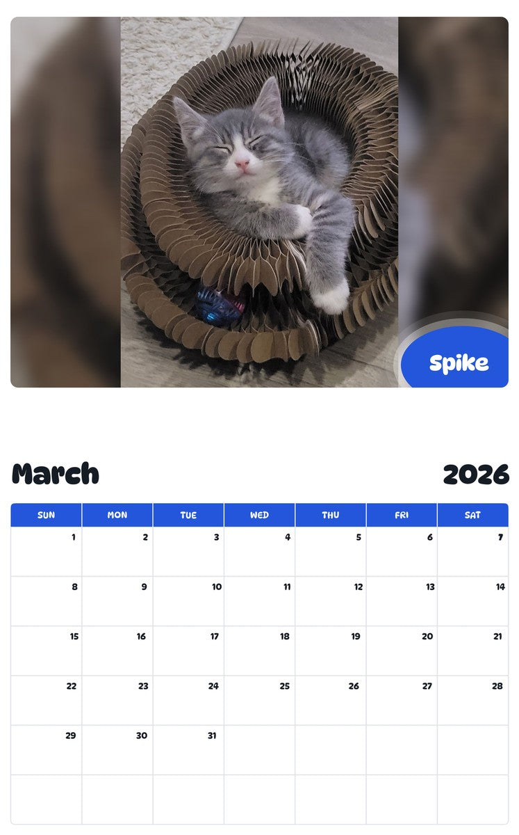 November 2025 - October 2026 Spike - Pawidols Pet Calendar