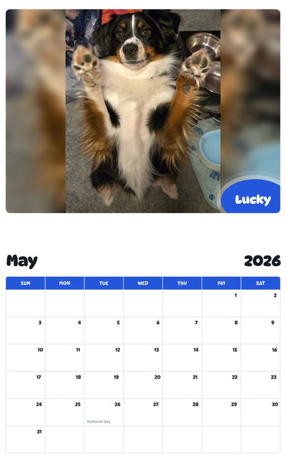 2026 - 2027 Lucky - Pawidols Pet Calendar