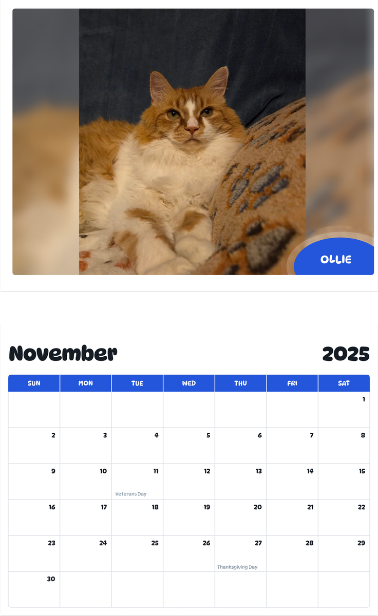 July 2025 - June 2026 Ollie - Pawidols Pet Calendar
