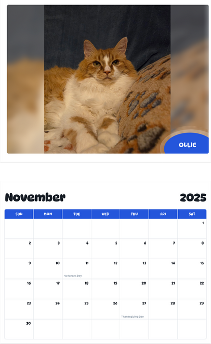 July 2025 - June 2026 Ollie - Pawidols Pet Calendar