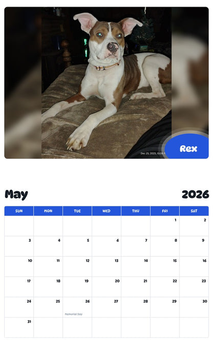2026 - 2027 Rex - Pawidols Pet Calendar