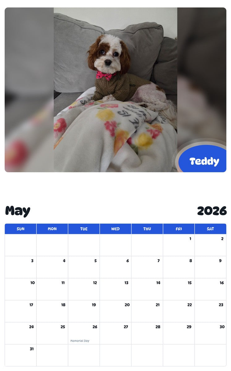 2026 - 2027 Teddy - Pawidols Pet Calendar