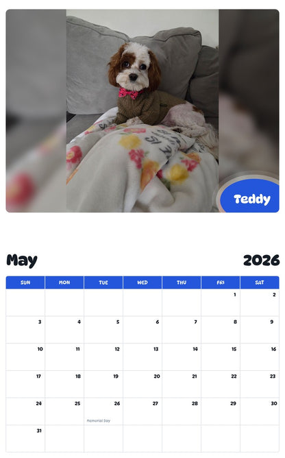 2026 - 2027 Teddy - Pawidols Pet Calendar