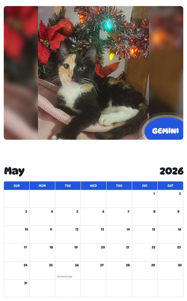 2026 - 2027 GEMINI - Pawidols Pet Calendar