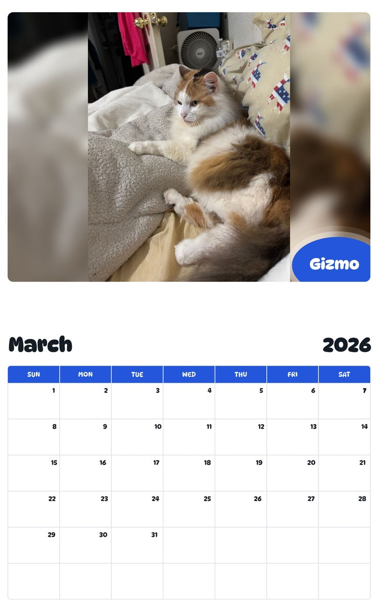 November 2025 - October 2026 Gizmo - Pawidols Pet Calendar