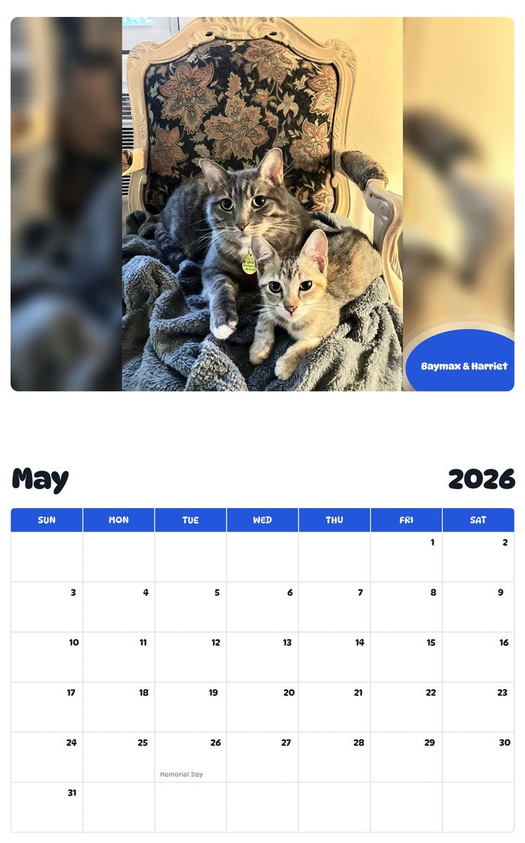 2026 - 2027 Baymax & Harriet - Pawidols Pet Calendar