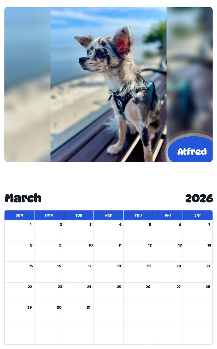 November 2025 - October 2026 Alfred - Pawidols Pet Calendar