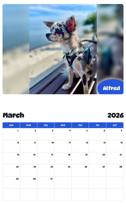 November 2025 - October 2026 Alfred - Pawidols Pet Calendar