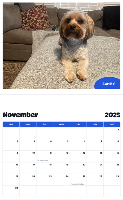 July 2025 - June 2026 Sammy - Pawidols Pet Calendar