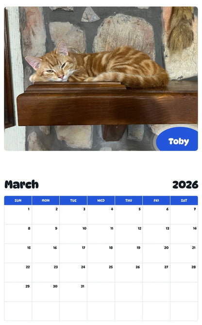 November 2025 - October 2026 Toby - Pawidols Pet Calendar
