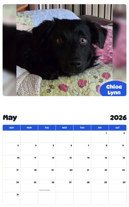 2026 - 2027 Chloe Lynn - Pawidols Pet Calendar