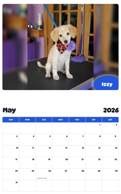 2026 - 2027 Izzy - Pawidols Pet Calendar