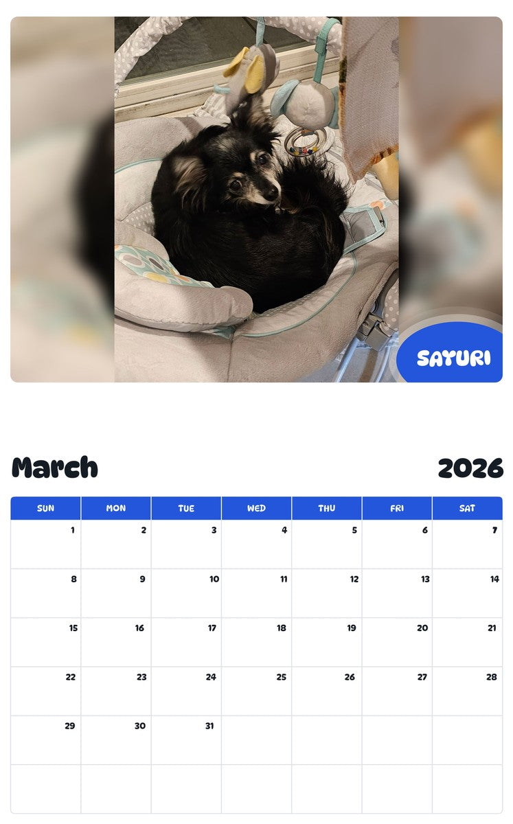November 2025 - October 2026 SAYURI - Pawidols Pet Calendar