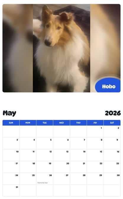 2026 - 2027 Hobo - Pawidols Pet Calendar